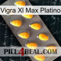 Vigra Xl Max Platinum cialis1